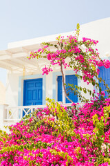 White House with blue doors and windows with Bougainville flowers