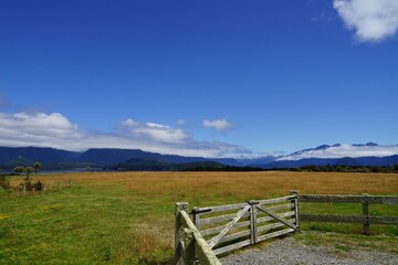 New Zealand landscape - meadow with fence