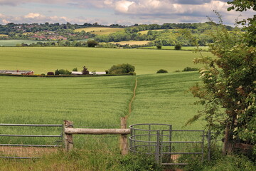 Obraz premium An English Rural Landscape in the Chiltern Hills