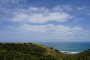 Arai te Uru Recreation Reserve panorama view over ocean and nature.