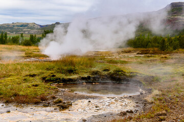 Geyser valley in Iceland