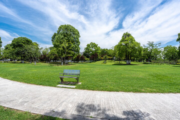 road in park