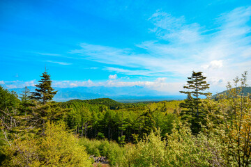 日本の静岡から捉えたアルプス山脈と青空