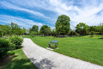 road in park