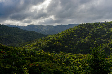 Fototapeta na wymiar Nature of the Topes de Collantes, a nature reserve park in the Escambray Mountains range in Cuba.