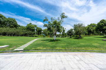 Fototapeta premium droga w parku