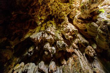 A cave in the Topes de Collantes, a nature reserve park in the Escambray Mountains range in Cuba.