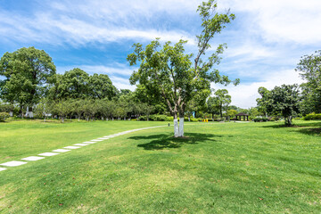 road in park