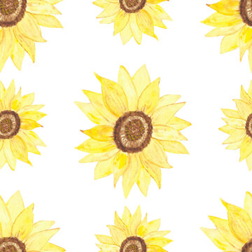 Watercolor hand painted nature summer garden plants seamless pattern with yellow sunflowers isolated on the white background, trendy floral print for design elements