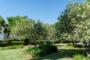 Towns in Portugal, Algarve, Olhao, Tavira.