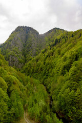 Beautiful landscape of the green mountain hills  of Romania