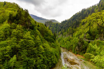 Fototapeta na wymiar Beautiful landscape of the green mountain hills of Romania