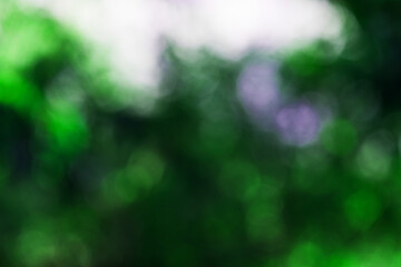 Obraz premium green bokeh background