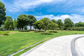 road in park