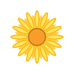 Sunflower Icon Floral Vector Illustration Background