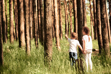 two small children in a pine forest. The boy shows something to the girl