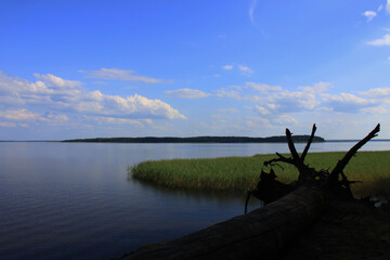 Landscape with a lake, white clouds on a blue sky and a fallen tree