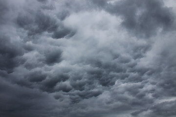 Obraz premium Dark grey cumulus clouds before the storm
