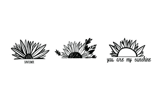 Hand Drawn Sunflower Illustration For T-shirt, Tattoo