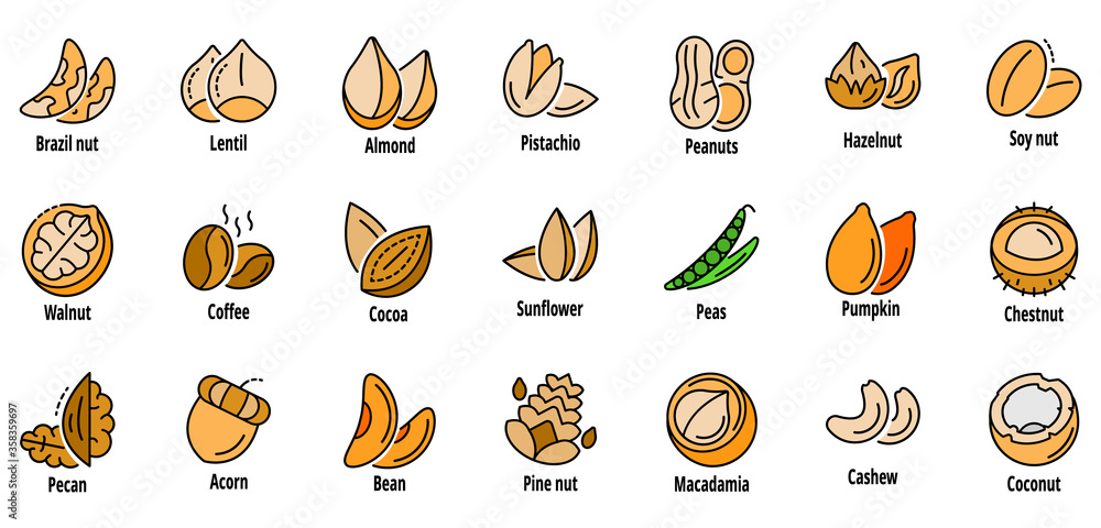 Wall mural Nut icon set. Outline set of nut vector icons thin line color flat isolated on white - Wall murals