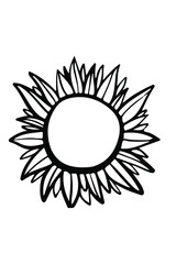 Hand drawn sunflower illustration