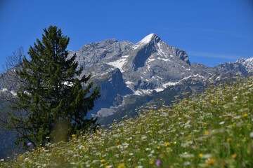 Fototapeta premium Die Alpspitze bei Garmisch Partenkirchen im Sommer