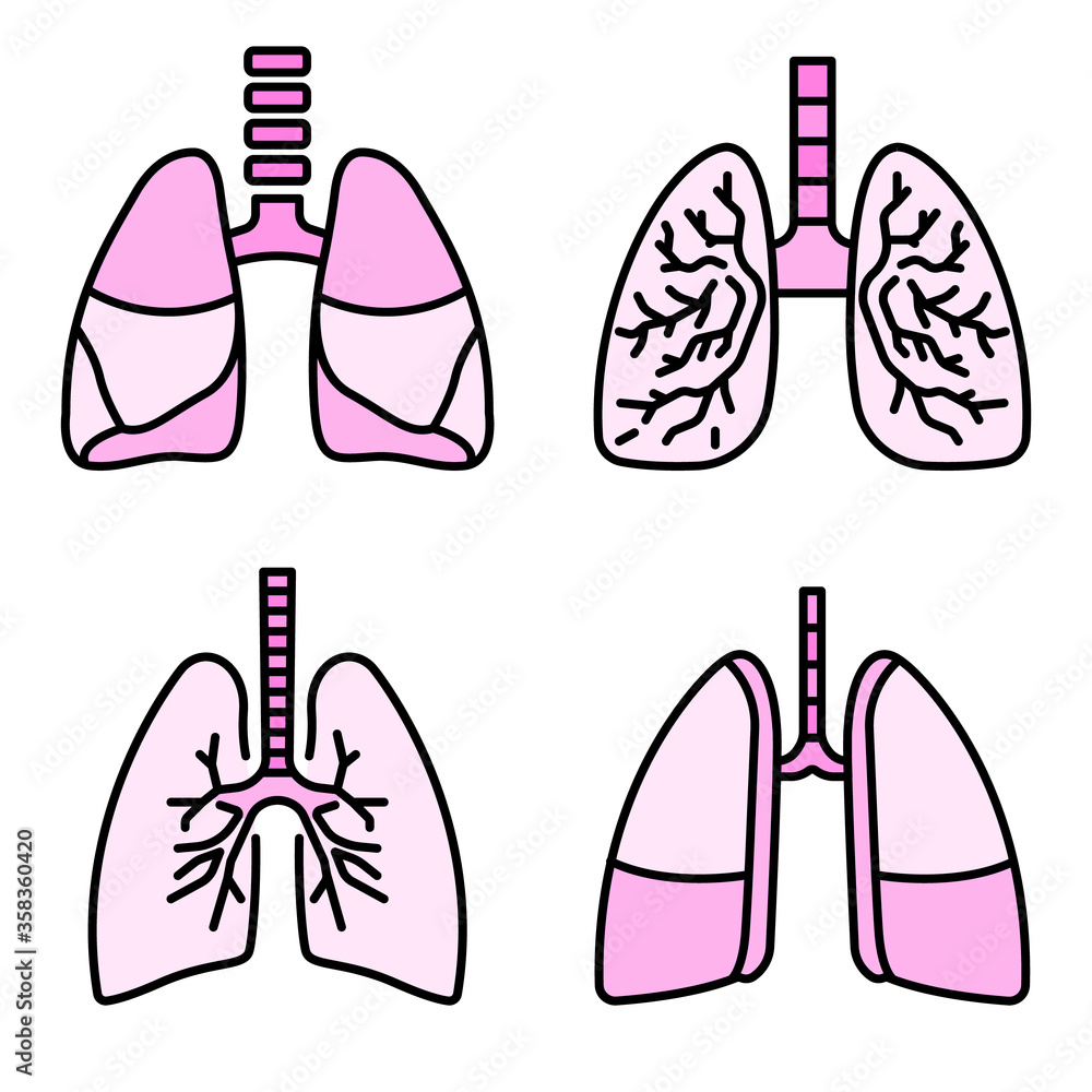 Poster lung icon set. outline set of lung vector icons thin line color flat isolated on white