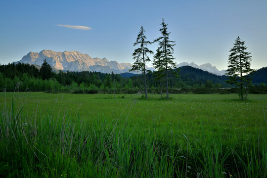 Wiesenlandschaft am Abend mit Blick auf Wetterstein und Zugspitze