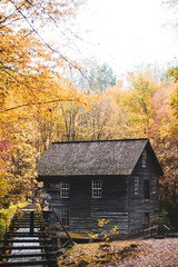 Old house in autumn forest