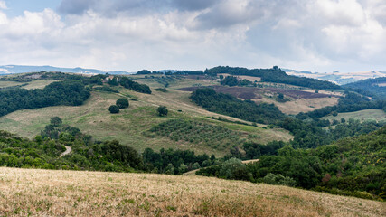 Fototapeta premium Italy, Tuscany, Florence July 04 2018.countryside landscape in Tuscany
