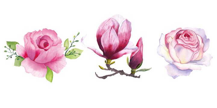 Hand painted waterclor flowers - peony, magnolia, rose
