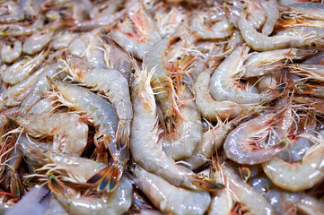 Fresh shrimp sold in the fish market.

