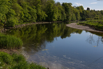 Obraz premium Summer day on the river ribble, Clitheroe. Gentle flowing water and lush green foliage 