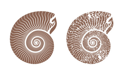 seashell nautilus vector icon illustration