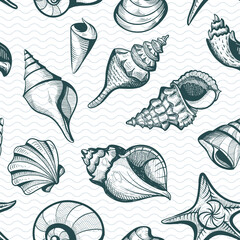 seamless seashell pattern vintage style vector illustration