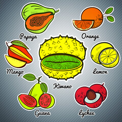 exotic fruit set colorful vector illustration kiwano orange lemon mango guava Lychee papaya