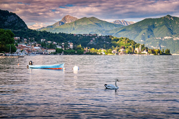 Swan and boat on Lake Como