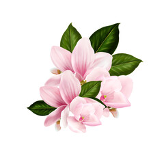 Beautiful wedding Bouquet  with magnolia flowers.  © knopazyzy