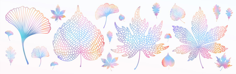 Ginkgo biloba, oak, linden, chestnut leaf set. Vector colorful isolated and silhouette objects. Botanical multicolored holographic gradient vibrant trendy illustration