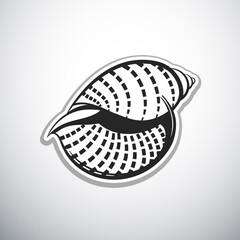 seashell nautilus outline vector illustration