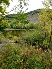 Lake in a small forest