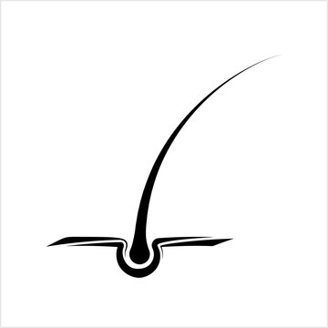 black hair follicle simple graphic clip art preview