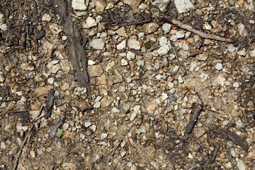 A close view of the wet gravel surface.