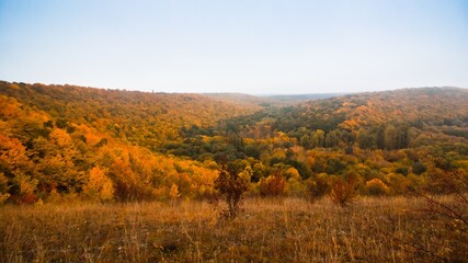 mountain forest with green, yellow and orange autumn leaves, nature masterpiece on cloudy and misty October morning, ecotourism active rest concept, free space header