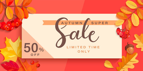 Autumn super sale banner with fall elements.Big discounts limited time only with colorful leaf,rowan berries,acorns,pumpkin for seasonal shopping promotion,web,flyers.Template for cards,ad.Vector