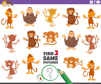 find two same monkeys educational game for children