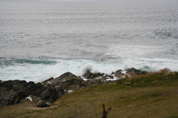 Waves crashing on rocks in Cornwall