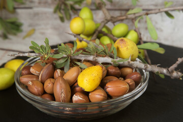 Fruits - nuts of Argan tree (Argania spinosa) on the branch. Close up