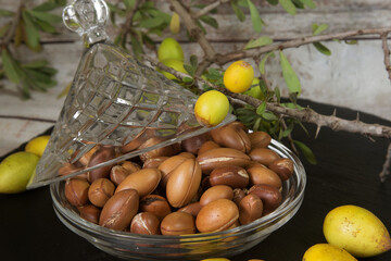 Fruits - nuts of Argan tree (Argania spinosa) on the branch. Close up