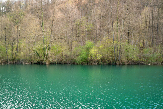 Image of a calm turquoise river crossing forest, Croatia.